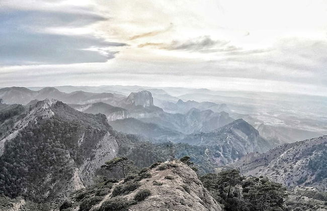 Ca Les Barberes - Photo 21