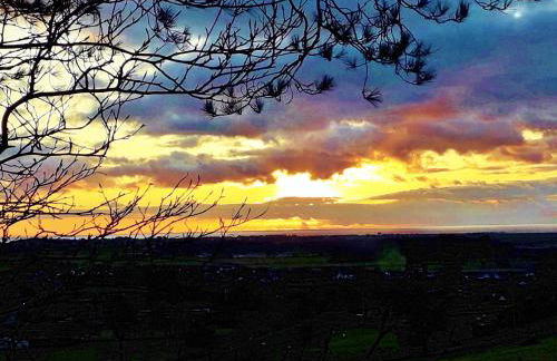 Sea Moss Cabin - Foto 66