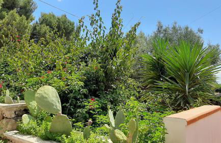 Villa Plemmyria - Foto 68