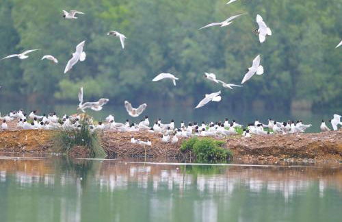Gîte La Terrasse du Loir à 2km du Zoo de la Flèche - Photo 48