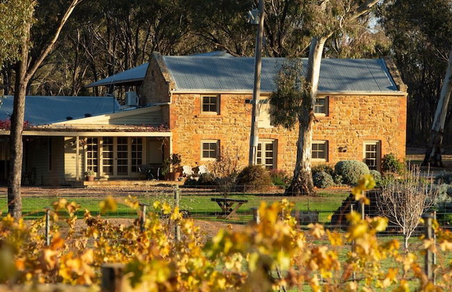 Byronsvale Vineyard and Accommodation - Foto 1