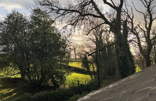 Helm Mount Lodge & Cottages - Foto 64