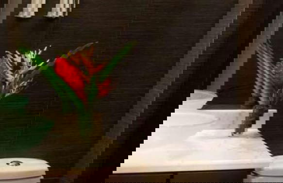 Best in Jaco Diamante del Sol Condos - Foto 60