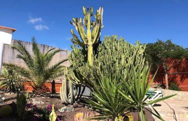 Casa Macken con piscina climatizada y jacuzzi - Foto 41