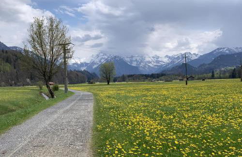 Anisers Hüs - Foto 18