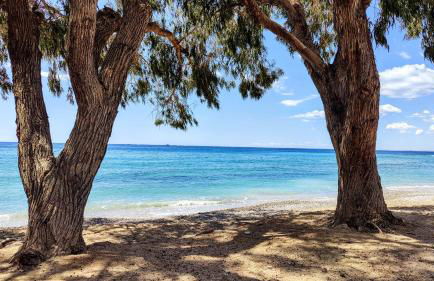 ALLONBAY sea front luxury penthouse - Foto 48