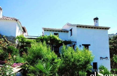 Country House in Andalusia with Pool - Foto 12