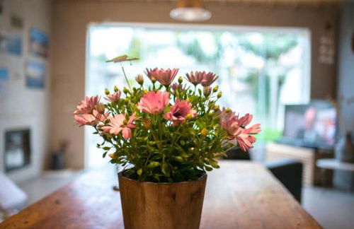 Casa Campedinese - Foto 23