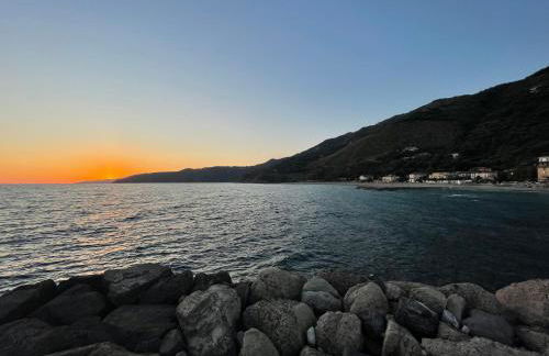 Cozy Studio - Foto 24