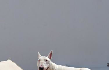 Casa rural la luz de Ari - Foto 48