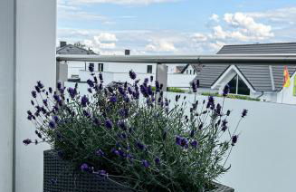 Entspannen am Möhnesee - Cozy Home - Foto 17