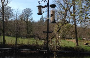 Lovely Riverside Holiday Home - Foto 6