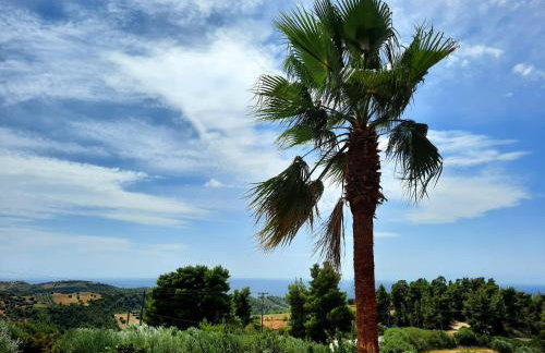 House with View - Foto 19