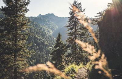 Zum Kistlerwirt - Foto 43