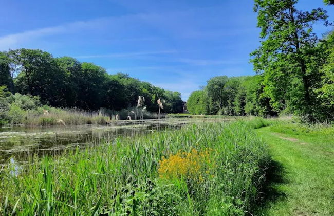 Restful Holiday Home in Kalkhorst near Beach & City Center - Foto 54