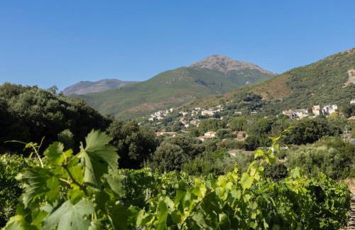 Ma Vie Là - Foto 25