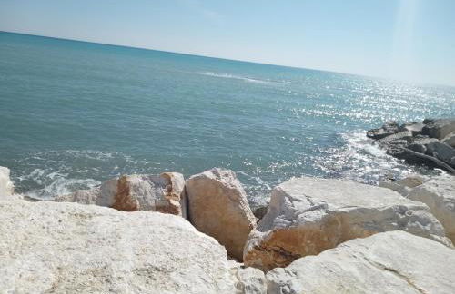 biodelfico, Policoro, Matera, Montalbano, mare - Photo 39