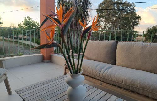 Alkyoni luxury apartments Katakolo - Photo 13