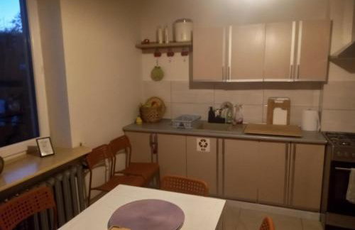 Owocowa Chojnata - Foto 48