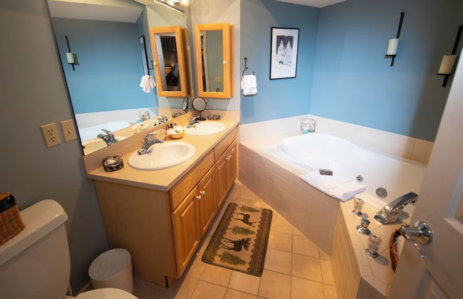 Solitude Village at Okemo by Vail Resorts - Foto 66