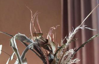 Floriads Apartments Caramel - Photo 13