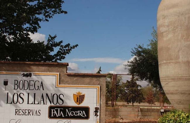 Visite des caves Los Llanos et de la Cueva del Arte - Photo 1