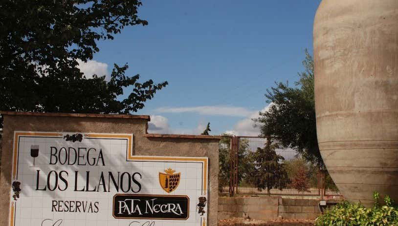 Visita alla cantina Los Llanos e alla Cueva del Arte