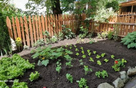 Appartements Schusterhof - Foto 68