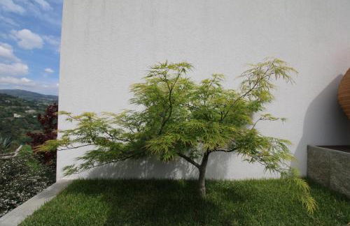 Douro Mesio Guest House - Foto 25