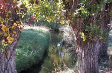 Masía Casa Rullo - Foto 26