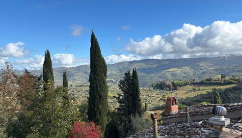 Galletto del Chianti - Foto 3