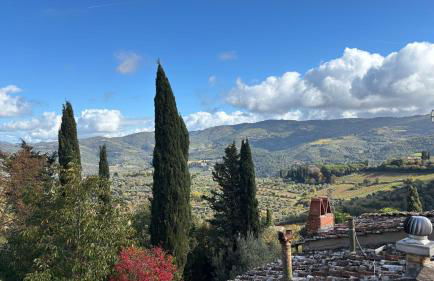 Galletto del Chianti - Foto 3