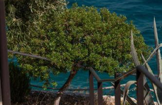 Agrilia Koromili Retreat - Foto 28