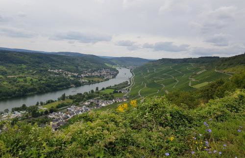 Apartment an der Mosel 1 - Foto 36