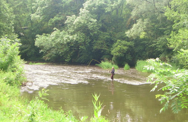 Apartment Near Forest and Hiking Trails - Foto 28