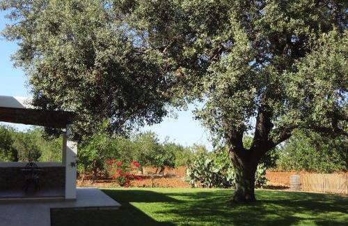 Agroturismo Sa Vinya d'en Palerm - Foto 112