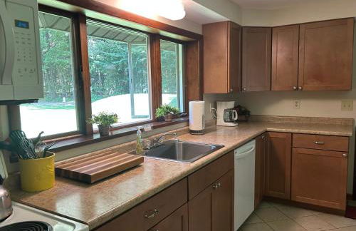 Lake Access! Twin Birch Resort - Kodiak Cabin - Foto 24