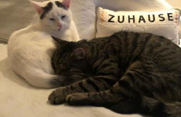 Stilvoll Urlaub machen! - Foto 25