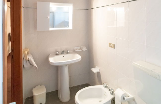 Fattoria di Cintoia - Photo 48