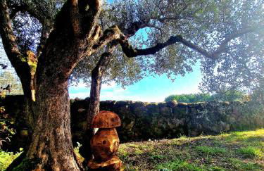 Torre del Tempo - Photo 4