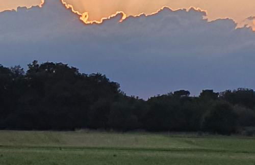 Au fil des saisons - Photo 18