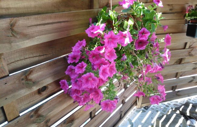 Portohall Beach - Foto 16