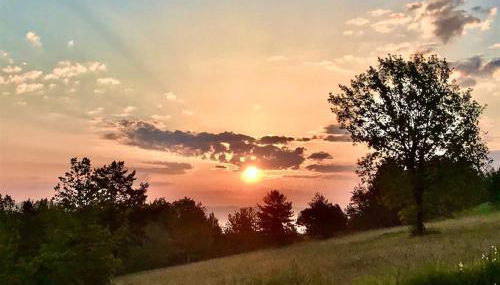 « Le Vieux Hangar » gîte à la ferme - Foto 3