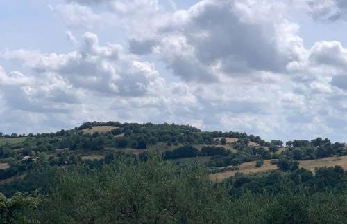 Villa Collina - Foto 15