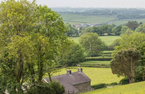 Ffyllon Fawr - Foto 22