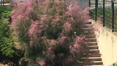 C'est la vie - Foto 4