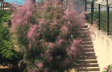 C'est la vie - Foto 4