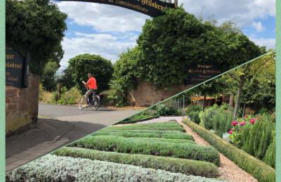 Willkommen in unserem kleinen Paradies - Foto 38