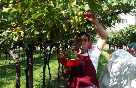 Residence La Colombera - Foto 56