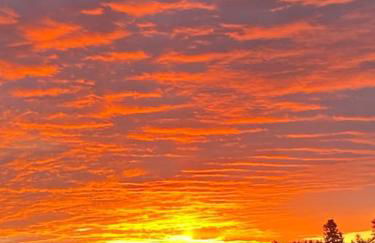 Ferien auf dem Eliesenhof - Foto 21